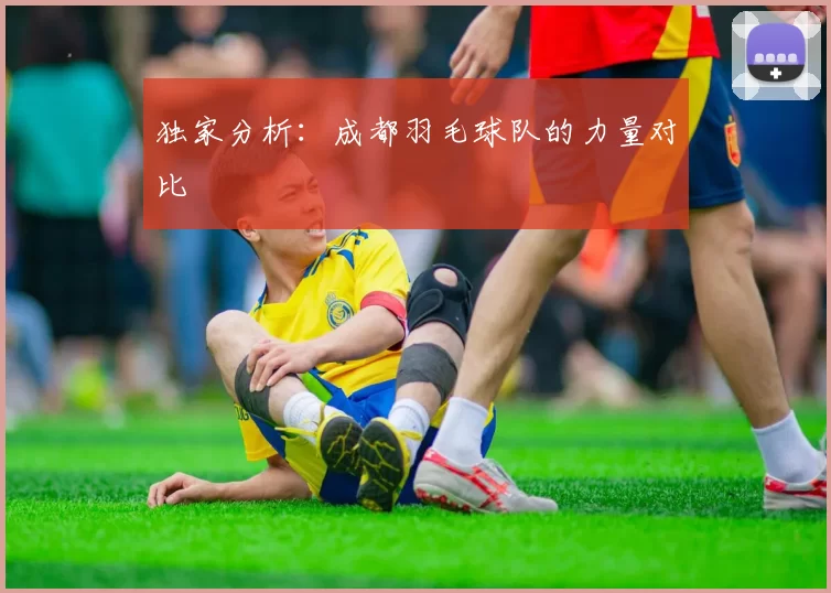 独家分析：成都羽毛球队的力量对比