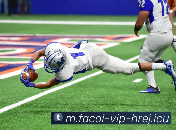 开云体育服务体系